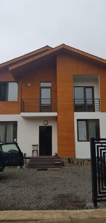 N1 Cottage In Bakuriani Exteriér fotografie